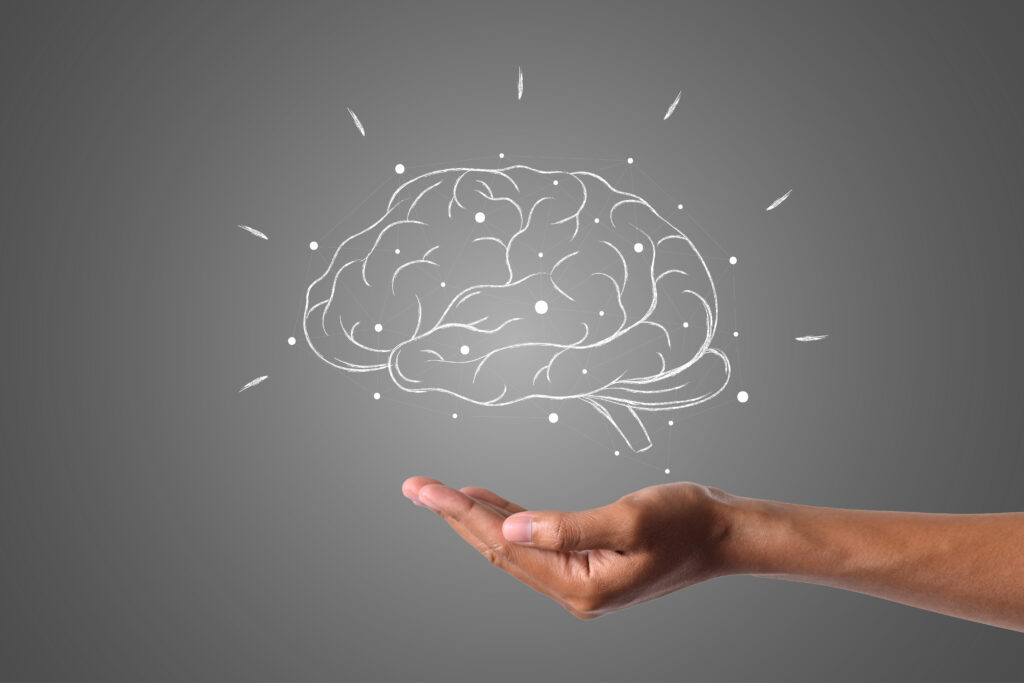 Como o cérebro afeta comportamento e pensamento